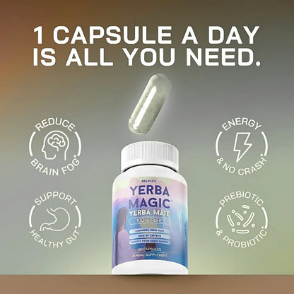 Natural Yerba Mate Energy Capsules – 60 Count